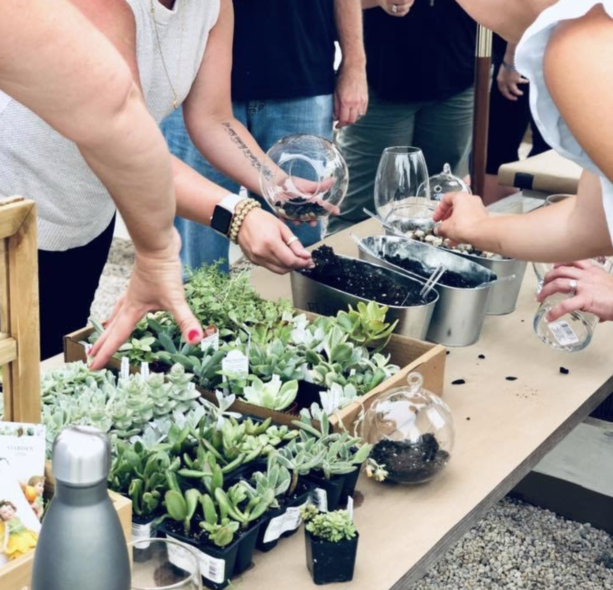 Terrarium Making Workshop